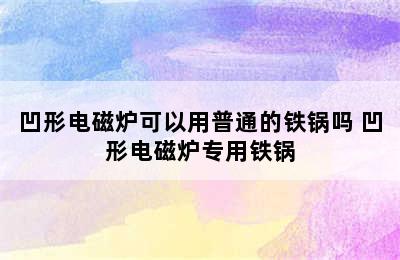 凹形电磁炉可以用普通的铁锅吗 凹形电磁炉专用铁锅